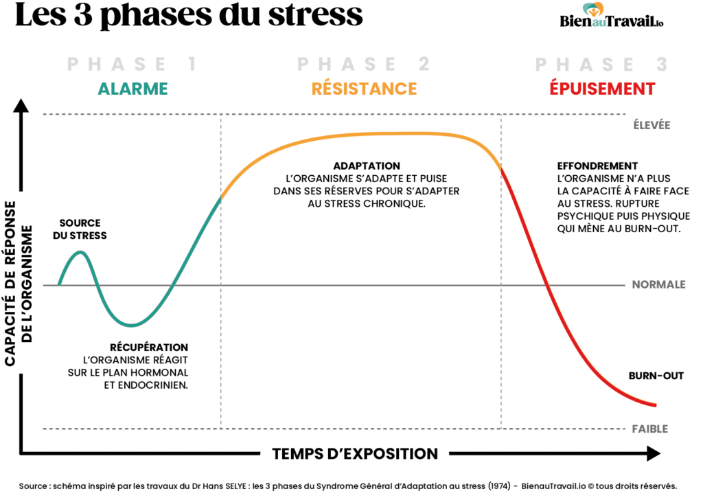 Courbe illustrant les 3 phases du syndrome général d'adaptation au stress d'après les travaux du Dr Hans SELYE de 1974